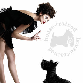 House Trained House Trained